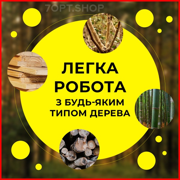 Міні акумуляторна електропила у валізі (2 акумулятори 24V)